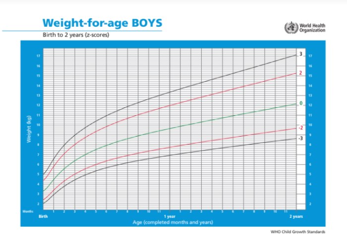 grafik weight for age boys